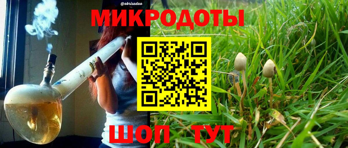 Галлюциногенные грибы мухоморы Сердобск