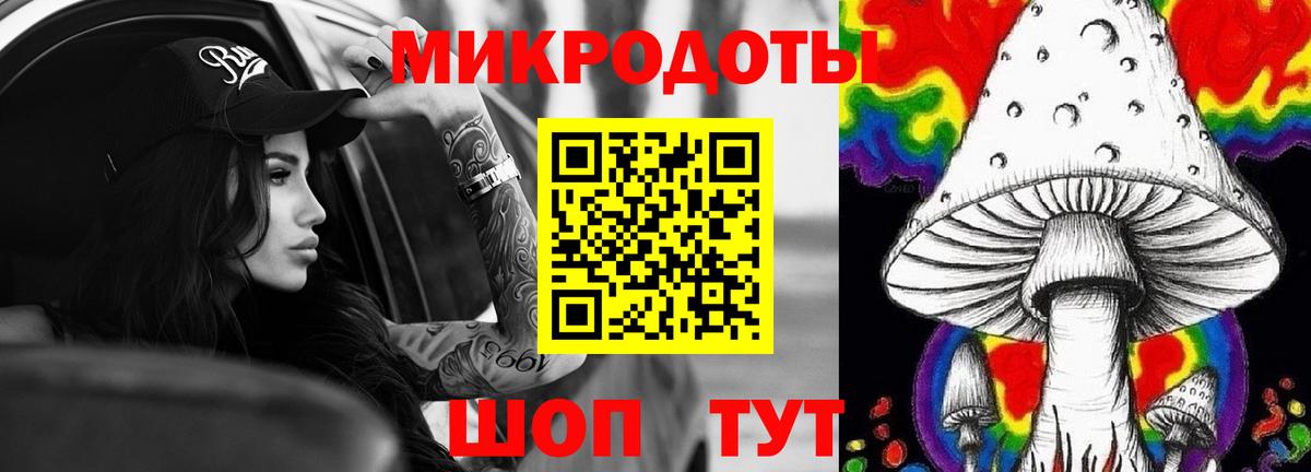Галлюциногенные грибы Psilocybe  Вход с VPN  Сердобск  Псилоцибиновые грибы прущие грибы 